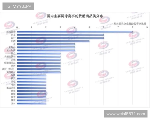 杭州网球队技术表现深度分析与数据解读探讨 杭州网球队技术表现深度分析与数据解读探讨