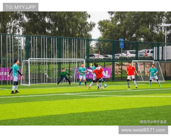 追逐绿茵梦想的脚步足球明星的心声与奋斗故事 追逐绿茵梦想的脚步足球明星的心声与奋斗故事