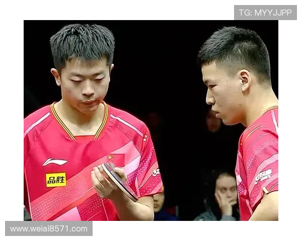 成都篮球队在总决赛积分榜中以100分稳居第一名展现强劲实力