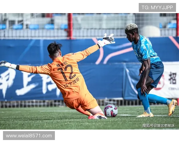 成都羽毛球队比赛经验引发热议球迷与专家观点碰撞激烈