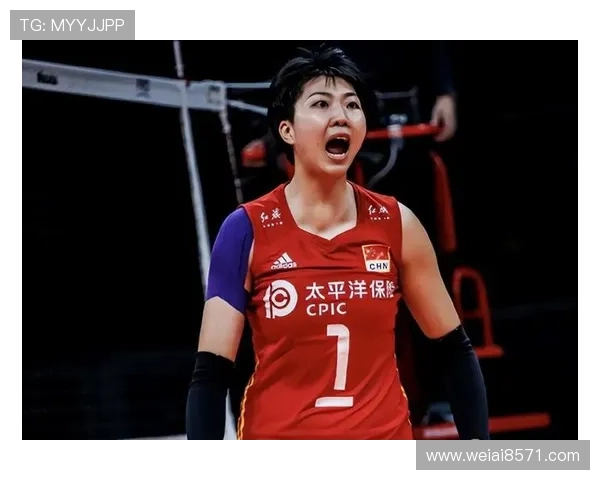 武汉排球队球员实力强劲最新排球个人能力榜单前十揭晓