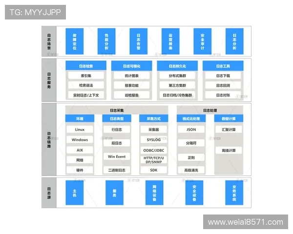 武汉羽毛球队阵地战解析：背后的战术与挑战全景探讨
